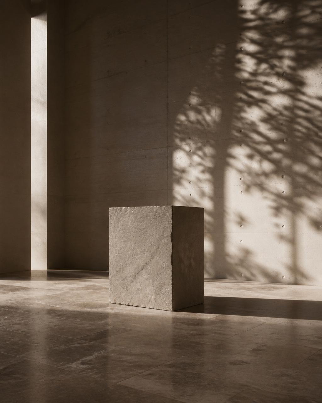 Bloco monolítico de pedra calcária em sala de concreto aparente, atravessada por luz natural e sombras de folhagem
